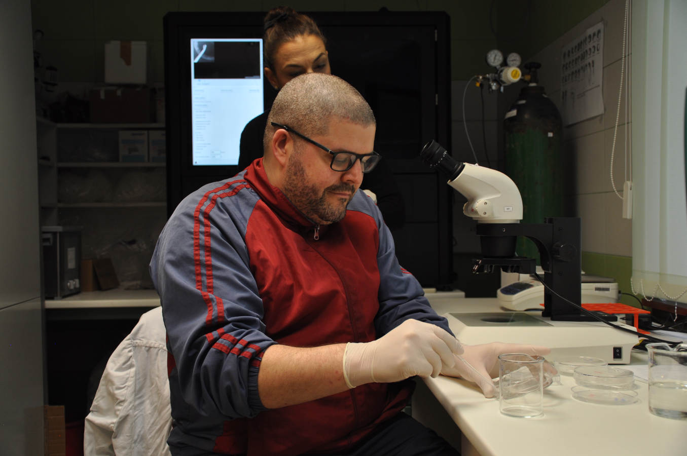 Ilies lab - Bock Illés preparing zebrafish larvae for toxicity test.