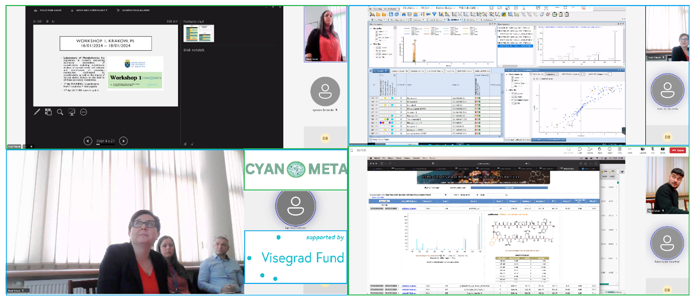 The graphic shows photos of the organizers: Dariusz Dziga, Nada Tokodi and experts: Agnieszka Zakrzewska and Robert Konkel during a multimedia presentation and fragments of these presentations.