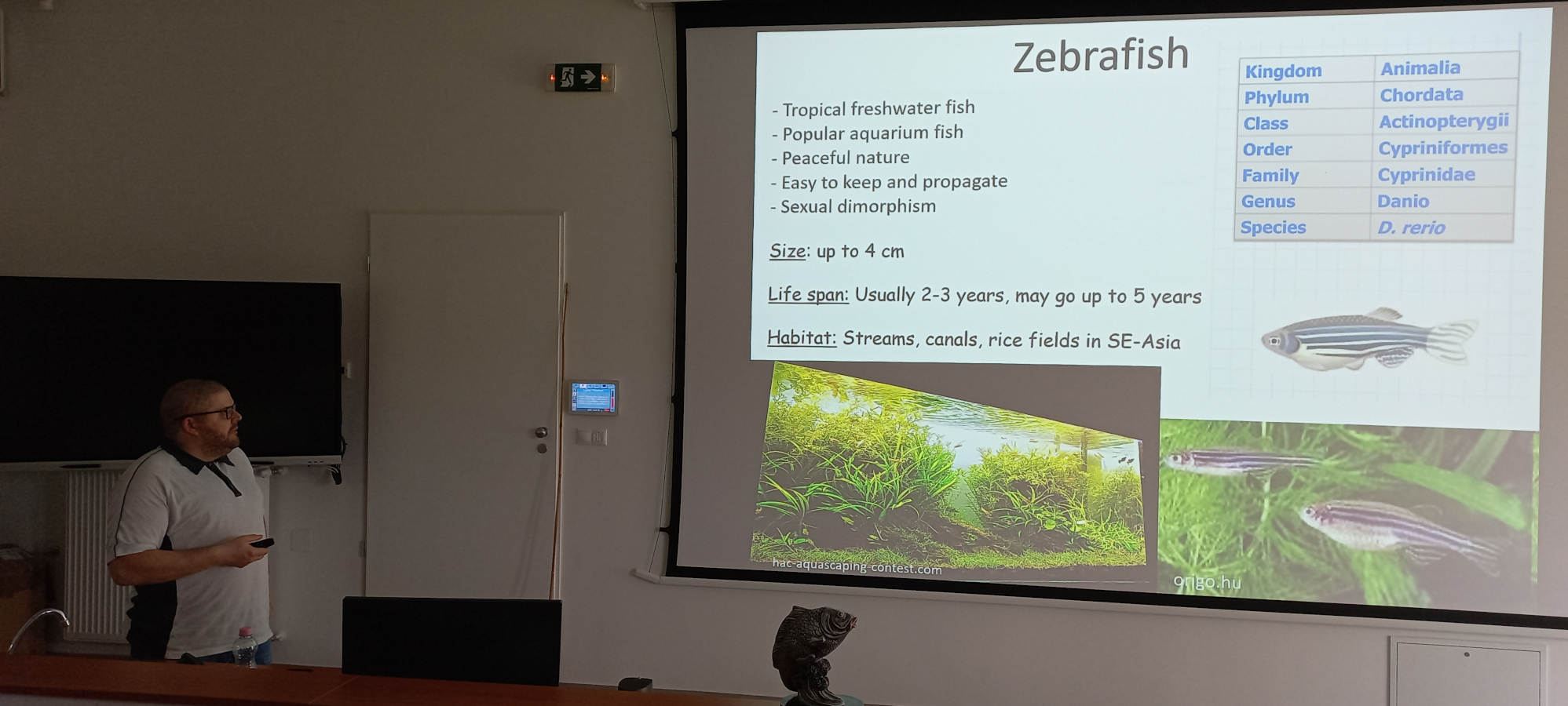 Expert Dr Bock Illés giving presentation to the audience